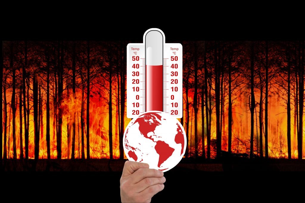 Effects of climate change